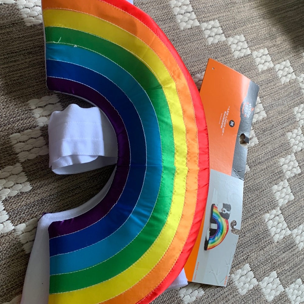 Pets LED light up rainbow costume